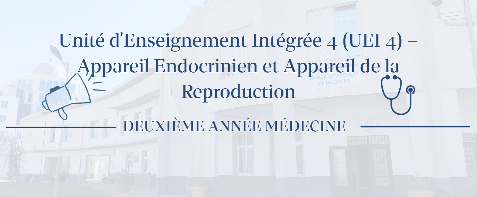 Unité d’Enseignement Intégrée 4 (UEI 4) – Appareil Endocrinien et Appareil de la Reproduction