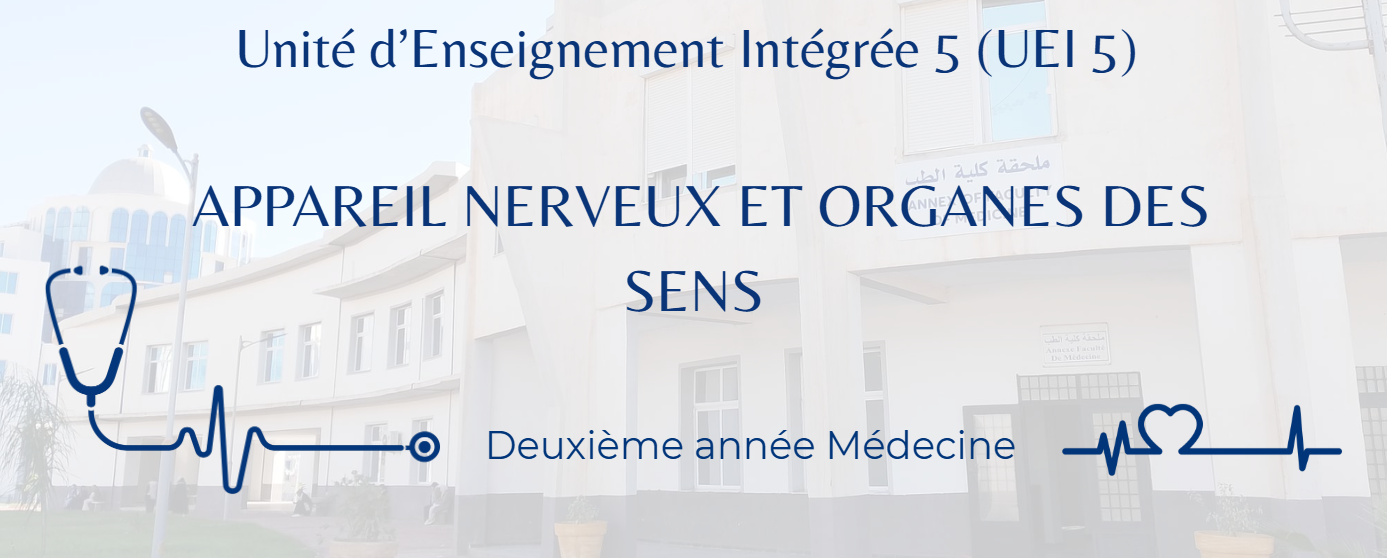 Planning de l’Unité 5 : Appareil nerveux et organes des sens